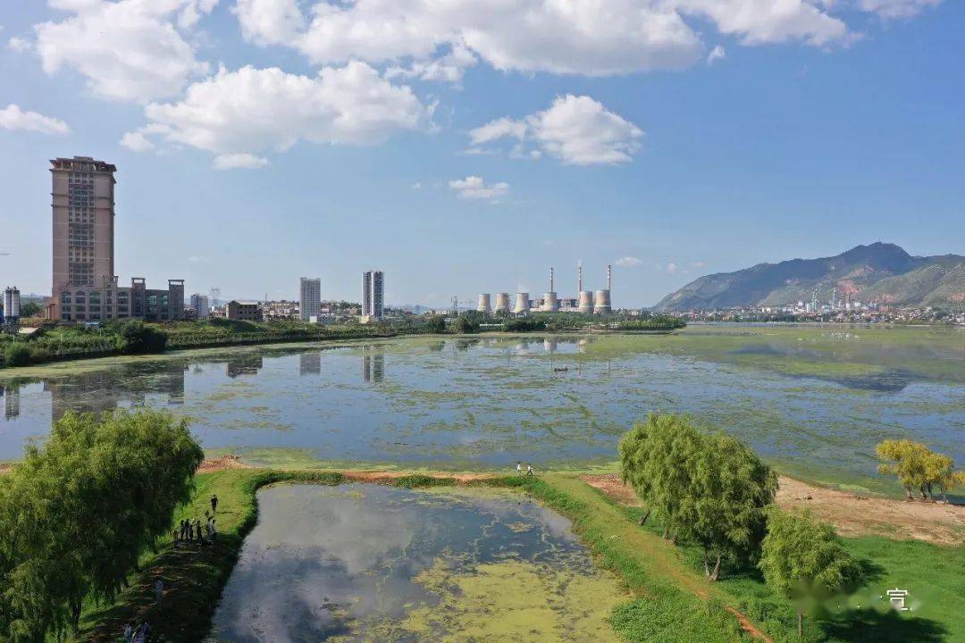 周巷镇天气预报更新通知