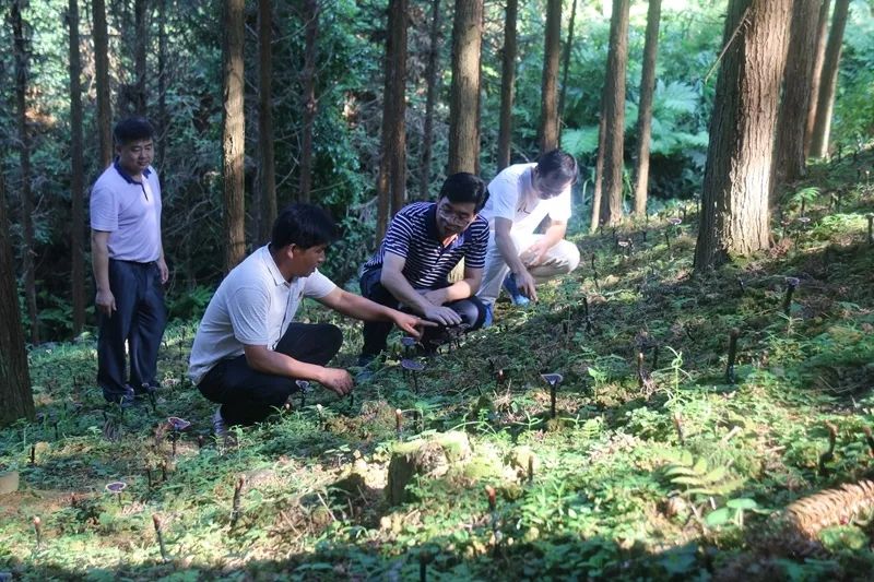 灵芝乡领导团队引领新征程发展之路