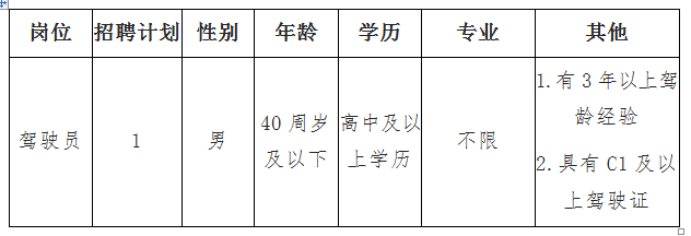 岩头最新招聘信息全面解析